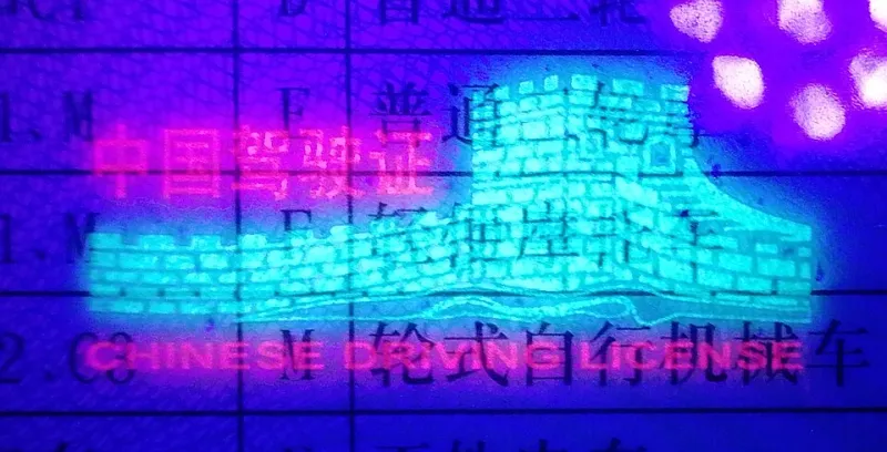 License to Chill: Should You Even Bother Getting a Chinese Driver's License in Hefei?