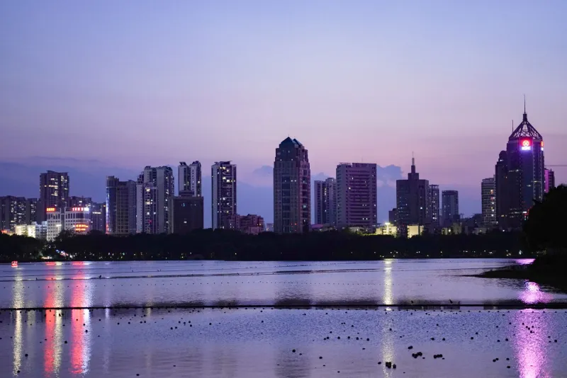 Swan Lake and Beyond: Where to Find Actual Nature in Hefei (No Car Required)